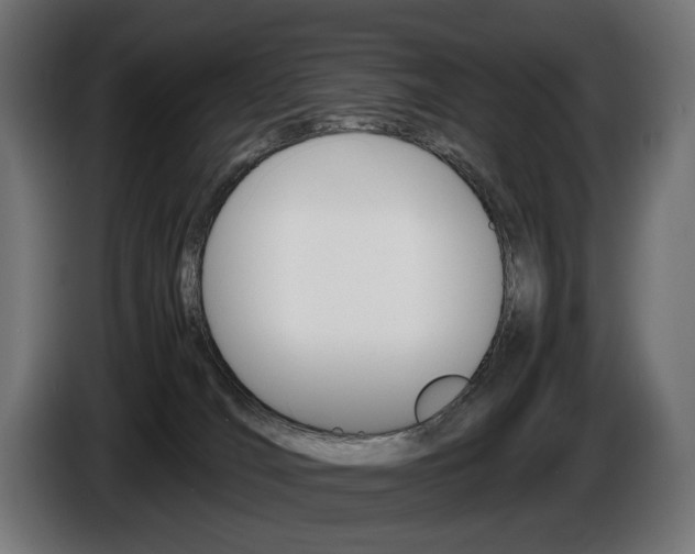 X0000086960036200704161134