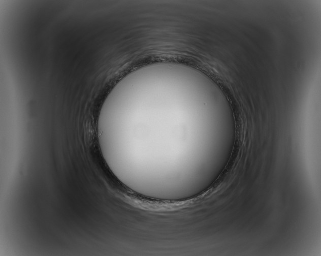 X0000086960040200704161134