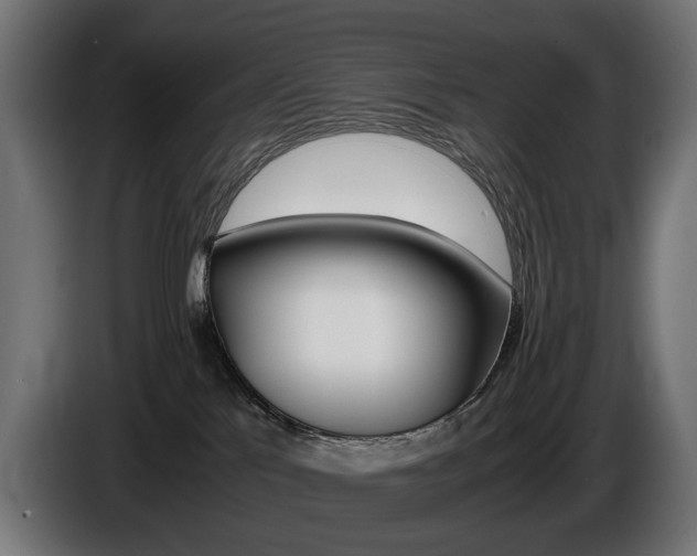 X0000086960041200704161134