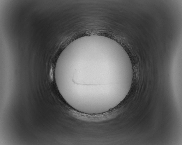X0000086960042200704161134