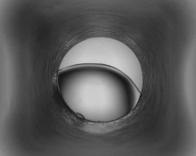 X0000086960045200704161133