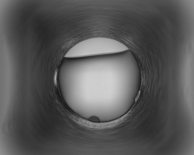 X0000086960047200704161133