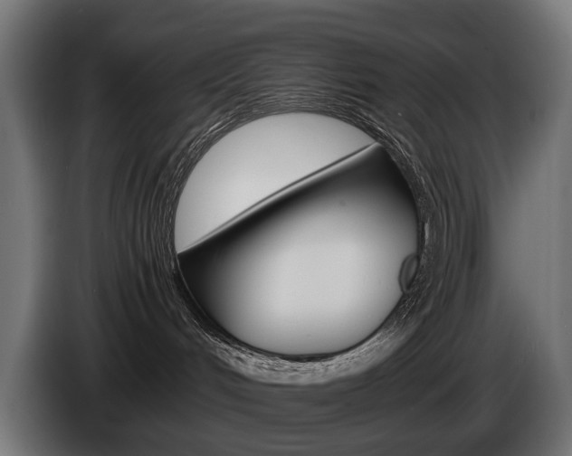 X0000086960048200704161133