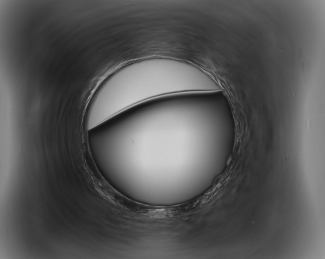 X0000086960050200704161133