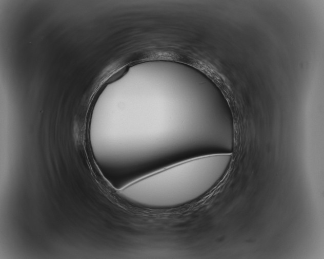 X0000086960051200704161133