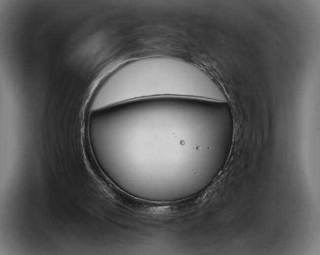 X0000086960054200704161133