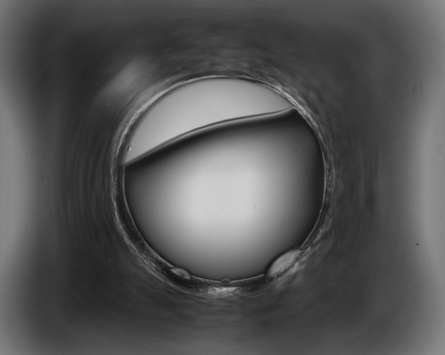 X0000086960055200704161133