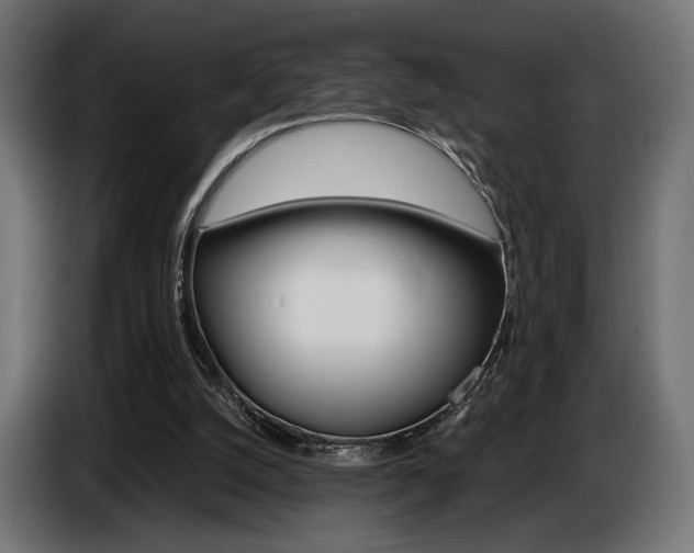 X0000086960056200704161133