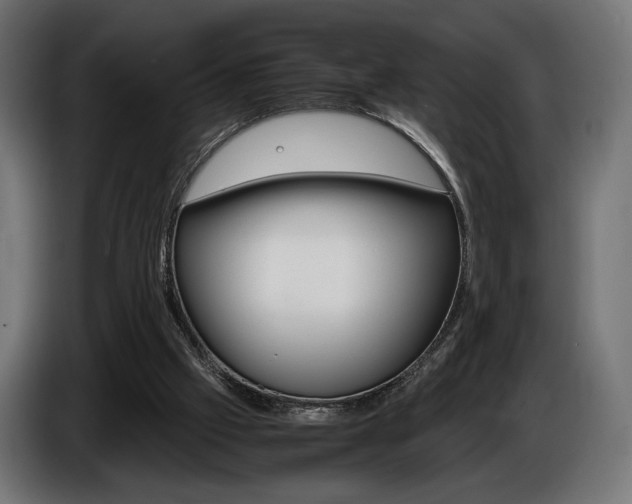 X0000086960057200704161133