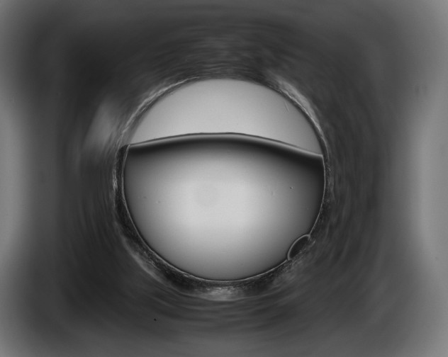X0000086960059200704161133