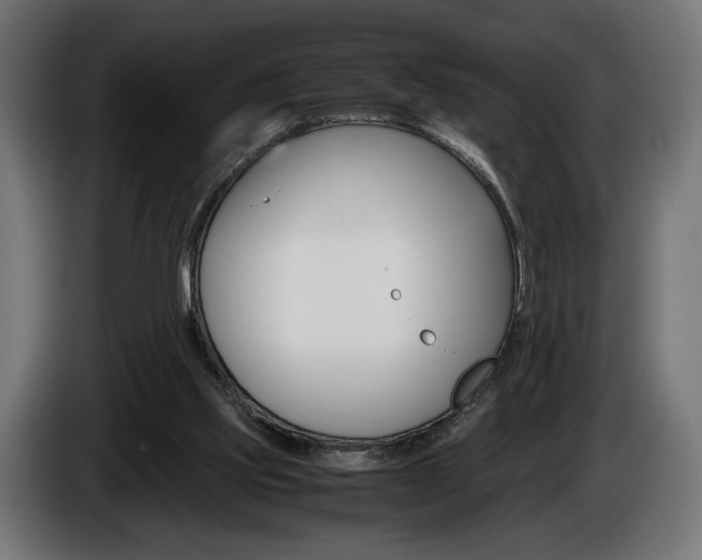 X0000086960061200704161133