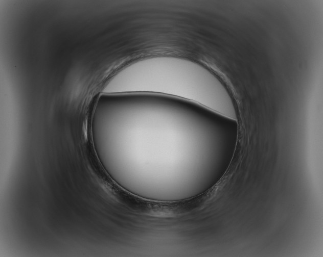 X0000086960062200704161133