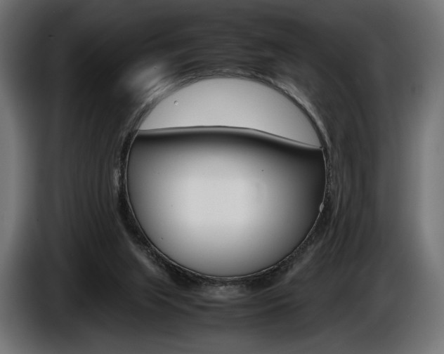 X0000086960063200704161133
