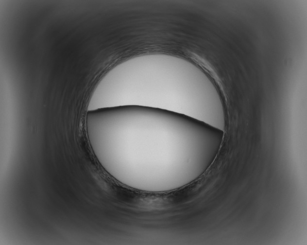 X0000086960065200704161133