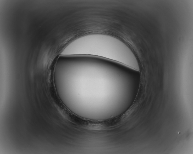 X0000086960066200704161133