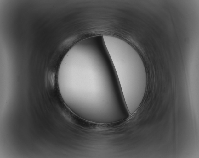X0000086960070200704161133