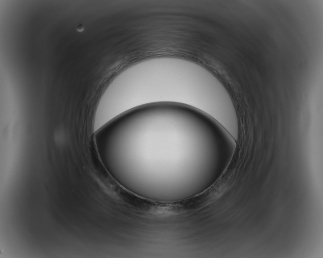 X0000086960072200704161133