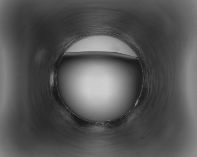 X0000086960076200704161133