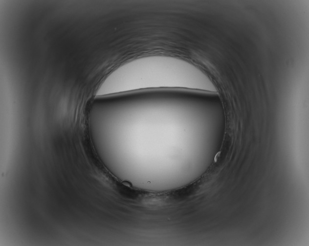 X0000086960077200704161133