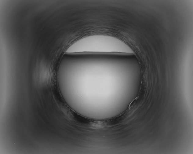X0000086960079200704161133