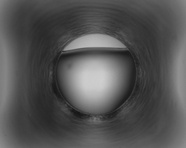 X0000086960080200704161133