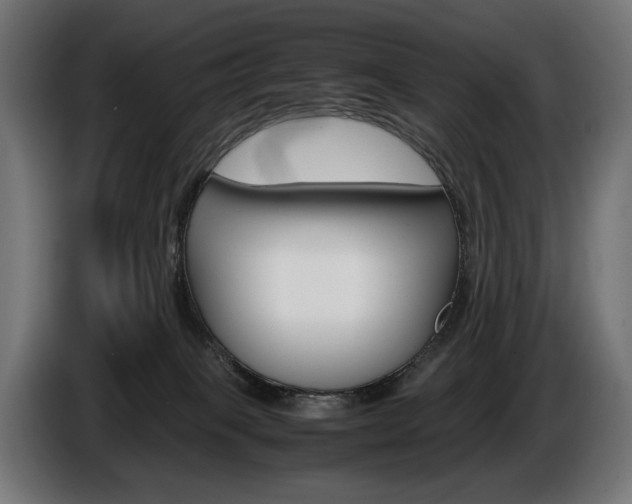 X0000086960085200704161133