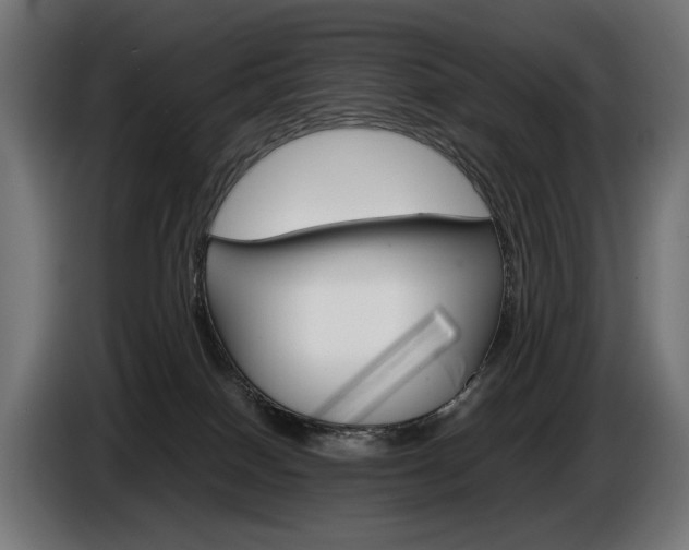 X0000086960086200704161133