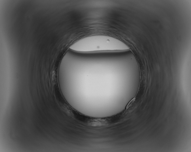 X0000086960087200704161133