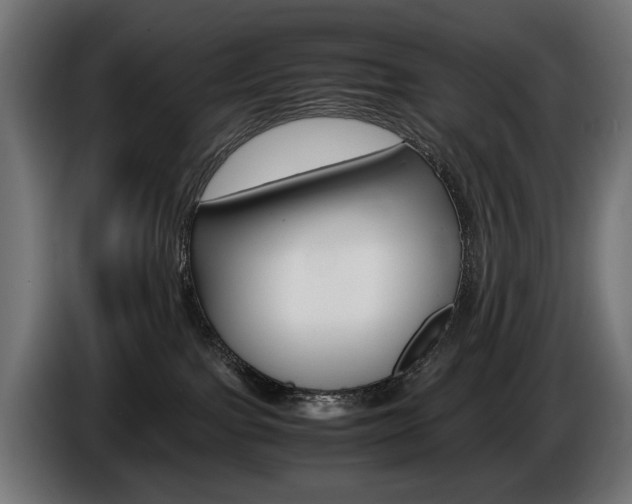 X0000086960091200704161133