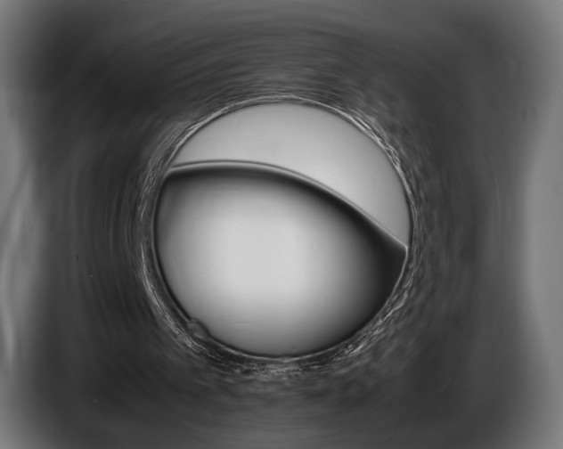 X0000086960097200704161133