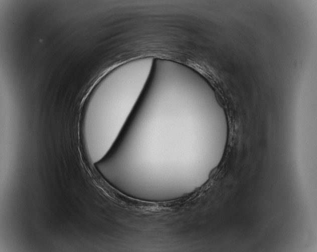 X0000086960098200704161133