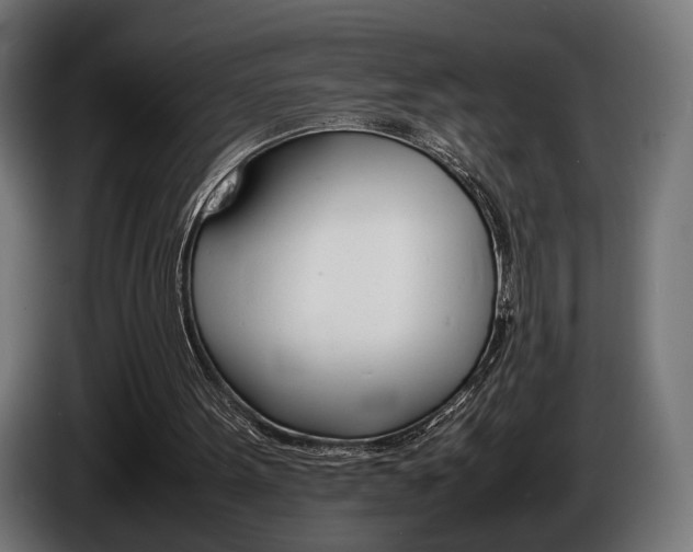 X0000086960099200704161133