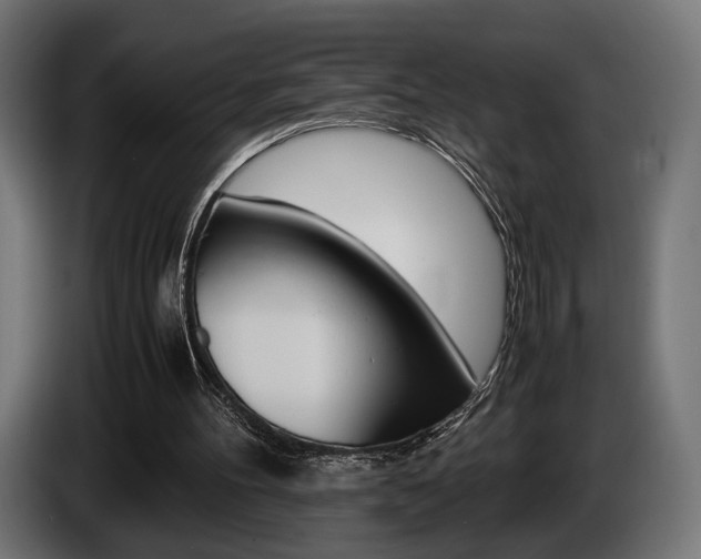 X0000086960100200704161133