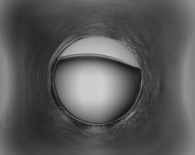 X0000086960101200704161133