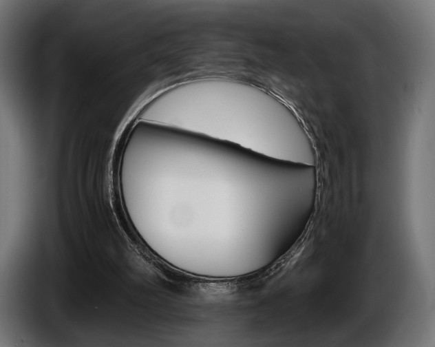X0000086960102200704161133