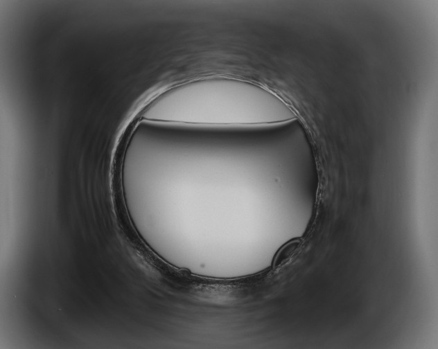 X0000086960104200704161133