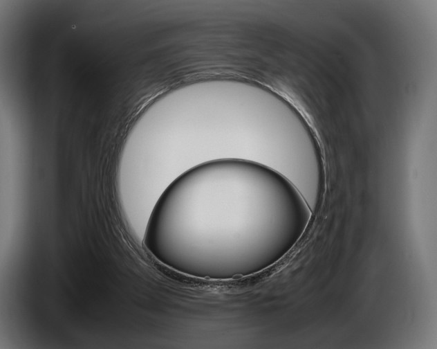 X0000086960105200704161133