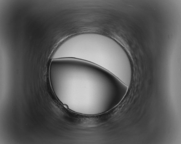 X0000086960107200704161133