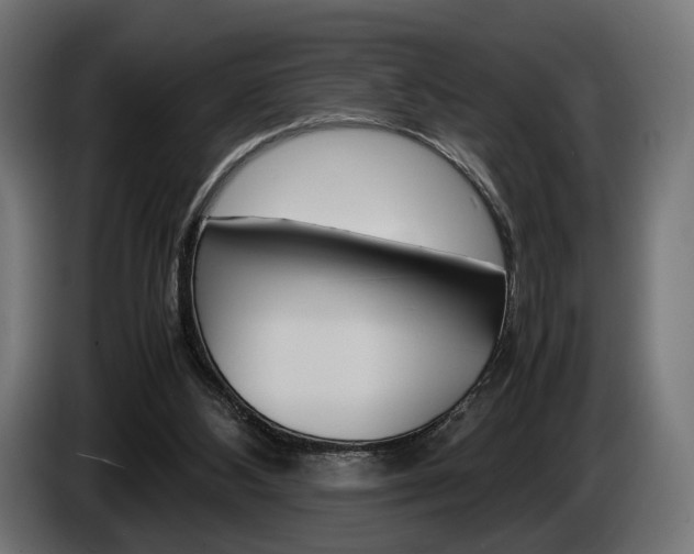 X0000086960108200704161133