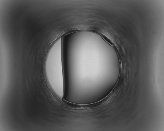 X0000086960109200704161133