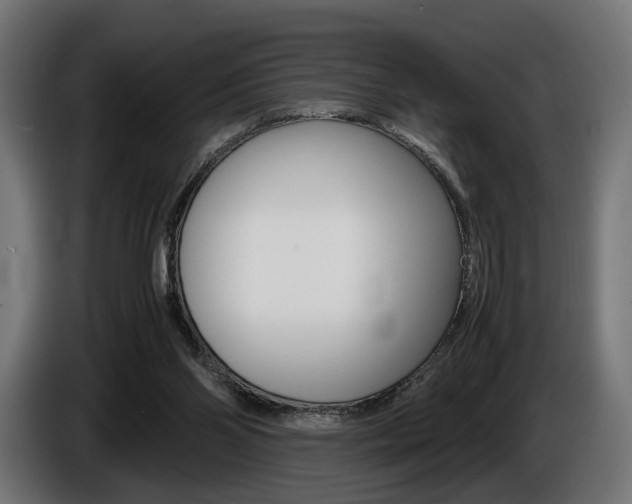 X0000086960110200704161133