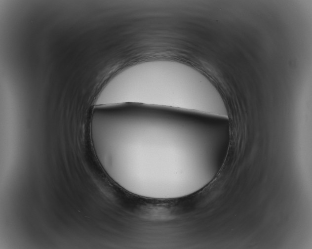 X0000086960120200704161132