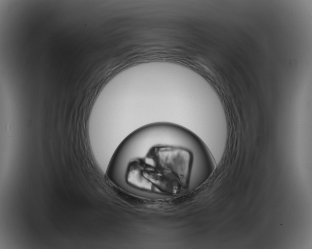X0000086960125200704161132