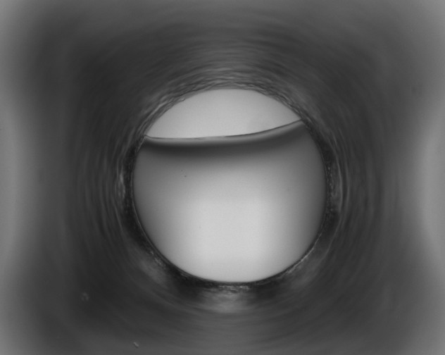 X0000086960128200704161132