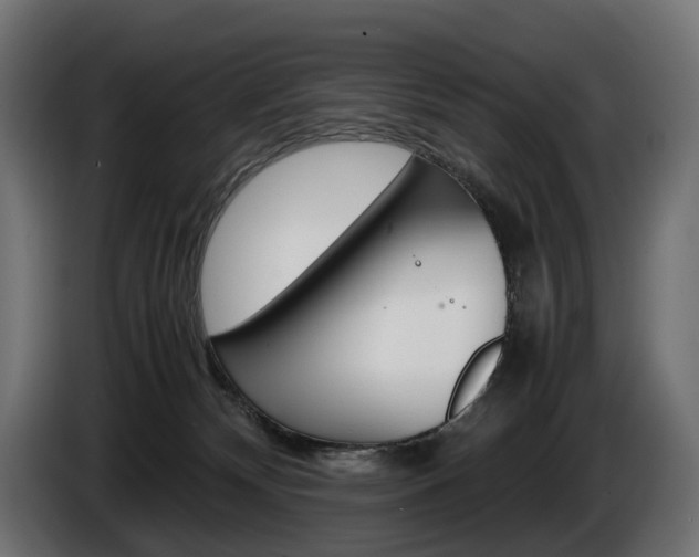 X0000086960132200704161132