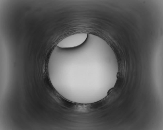 X0000086960134200704161132