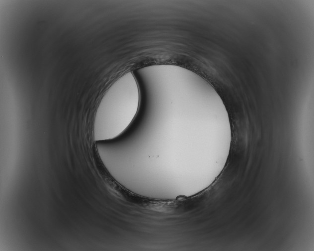 X0000086960136200704161132