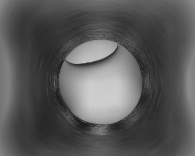 X0000086960138200704161132