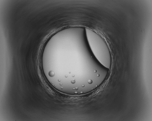 X0000086960145200704161131