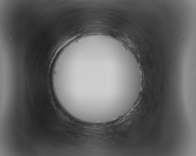 X0000086960146200704161131
